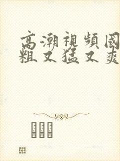 高潮视频国产又粗又猛又爽又黄的视频