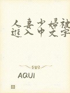 人妻少妇被猛烈进入中文字幕在线观