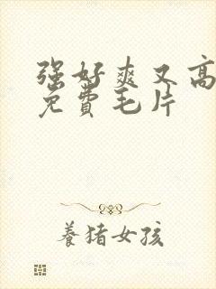 强好爽又高潮了免费毛片