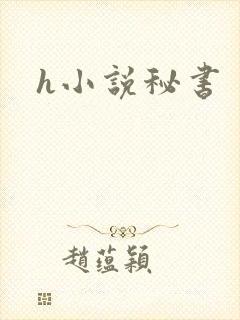 h小说秘书