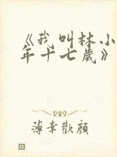 《我叫林小喜今年十七岁》