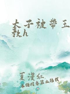 太子被带玉势调教h