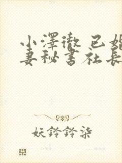 小泽彻 已婚人妻秘书社长室