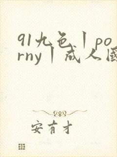 91九色丨porny丨成人国产