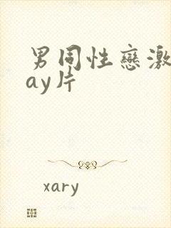 男同性恋激情gay片