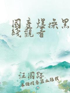 国产爆操黑丝在线观看