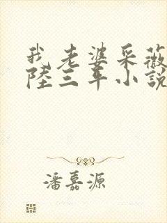 我老婆采薇养父陆三平小说txt