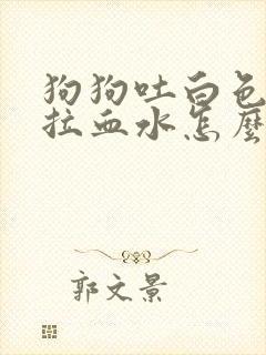 狗狗吐白色泡沫拉血水怎么办