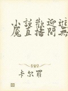 小说欢迎进入梦魇直播间无弹窗