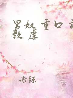 男奴 重口 调教 虐