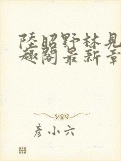 陆昭野林见疏笔趣阁最新章节更新