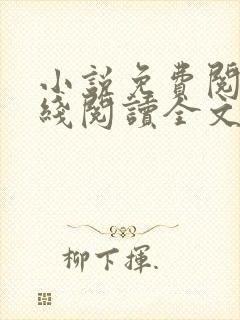 小说免费阅读在线阅读全文