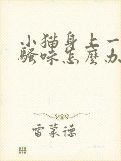 小猫身上一股尿骚味怎么办