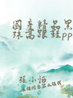 国产精品黑色丝袜高跟鞋pp