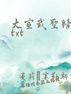 大宣武圣精校版txt