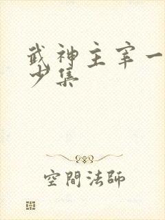 武神主宰一共多少集