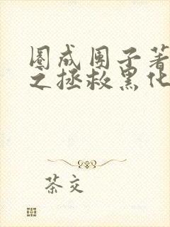 圈成团子著快穿之拯救黑化boss男主