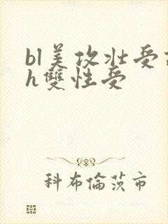 bl美攻壮受高h双性受