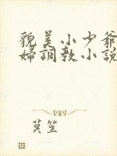 貌美小少爷被老妇调教小说