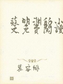 苏明渊的小说全文免费阅读无弹窗