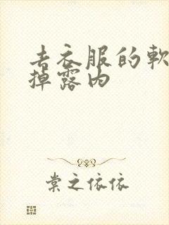 去衣服的软件去掉露内