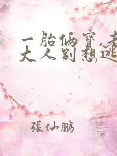 一胎俩宝,老婆大人别想逃有声