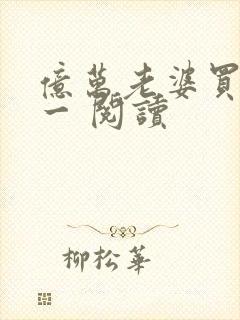 亿万老婆买一送一 阅读