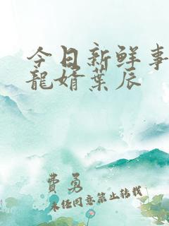 今日新鲜事上门龙婿叶辰