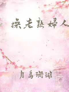 操老熟妇人妻