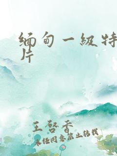 缅甸一级特黄大片