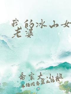 我的冰山女总裁老婆