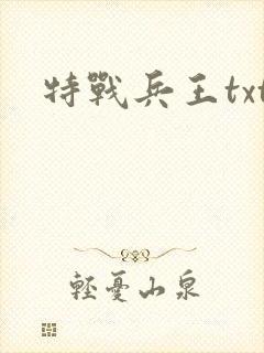 特战兵王txt