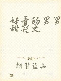 好看的男男小说甜宠文