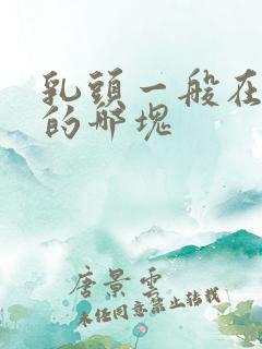 乳头一般在内衣的哪块