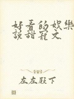 好看的娱乐圈小说甜宠文