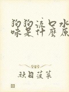 狗狗流口水有臭味是什么原因引起的