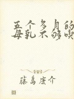 五个多月的宝宝母乳不够吃怎么办