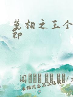 万相之王全部章节