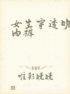 女生穿透明内衣内裤