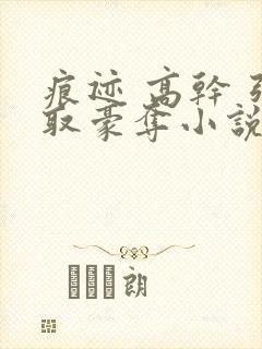 痕迹 高干 强取豪夺小说