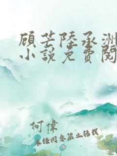 顾芒陆承洲正版小说免费阅读