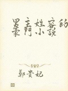 男主姓容的现代豪门小说