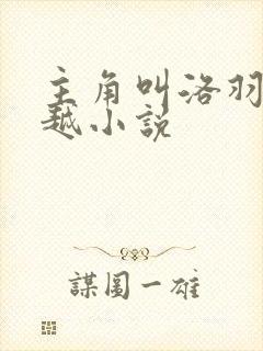 主角叫洛羽的穿越小说