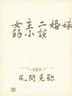 女主二婚嫁高干的小说