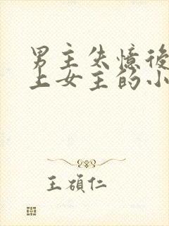 男主失忆后又爱上女主的小说