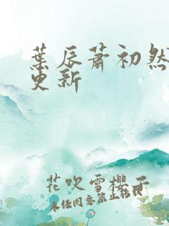 叶辰萧初然最快更新