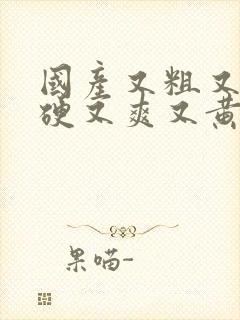 国产又粗又长又硬又爽又黄视频