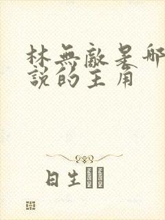 林无敌是哪部小说的主角