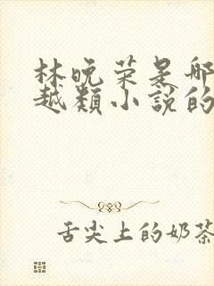 林晚荣是哪部穿越类小说的主人公