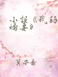小说《我的极品娇妻》